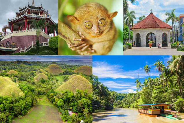 Bohol Cebu Tour