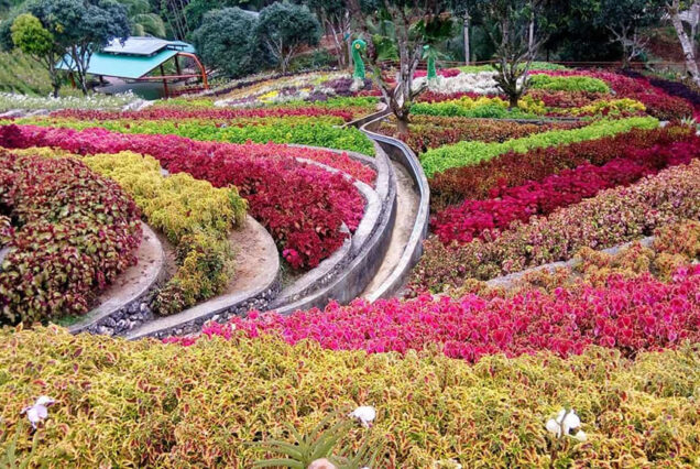 Cebu Safari, Philippines