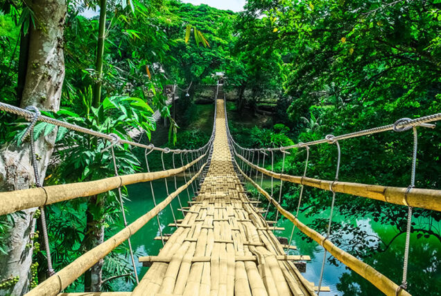 Hanging Bridge in Bohol