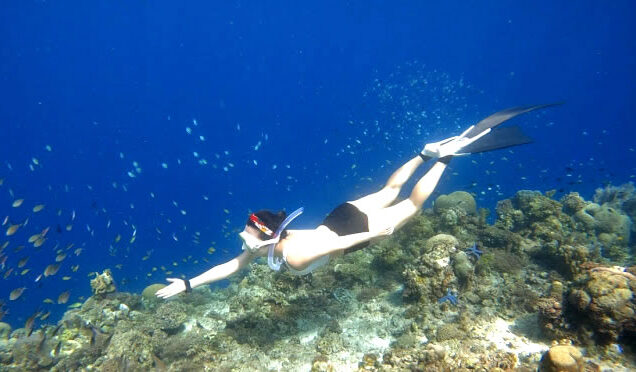 Napaling Reef Snorkelling