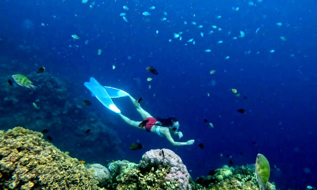 Napaling Reef Snorkelling