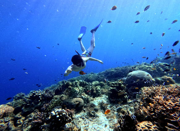 Napaling Reef Snorkelling